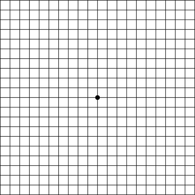 Test Degeneración Macular Asociada a la Edad